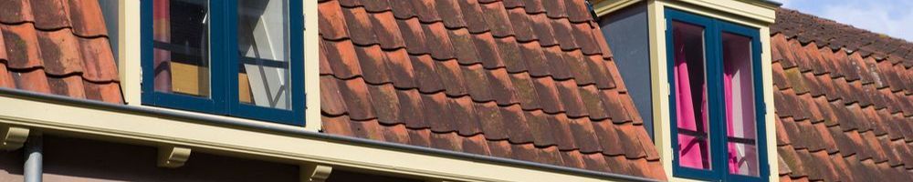 Dakrenovatie Heerjansdam