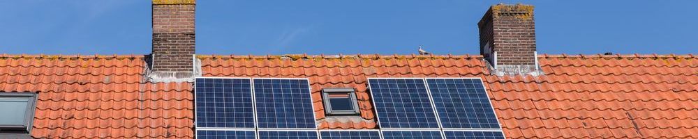 Dakinspectie Heerjansdam